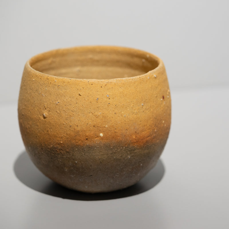 <tc>Q Tani / Shigaraki Tea Bowl</tc>