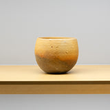 <tc>Q Tani / Shigaraki Tea Bowl</tc>