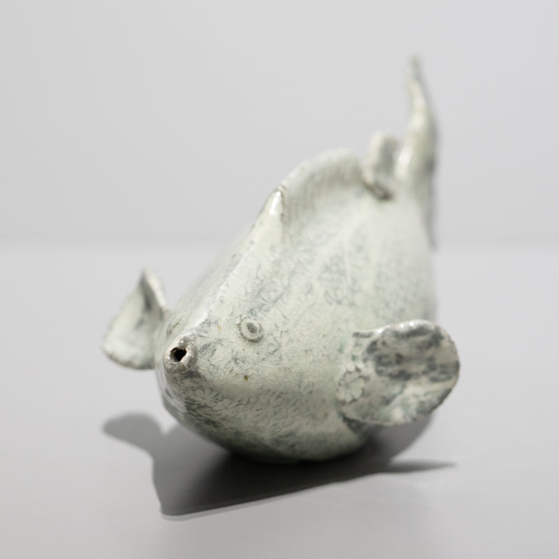 <tc>Hiroyumi Suzuki / Mishima Fish Sake Server</tc>