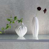 高橋奈己 / 白磁の実 A（一点物）