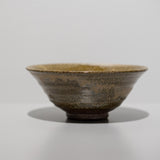 尾西宏紀 / 薬師寺東塔基壇土 金彩薬師寺景茶盌（一点物）