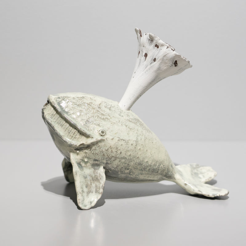 <tc>Hiroyumi Suzuki / Mishima Whale Sake Server</tc>