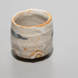 <tc>Kai Tsujimura / Shino Sake Cup</tc>