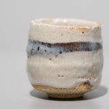 <tc>Kai Tsujimura / Shino Sake Cup</tc>