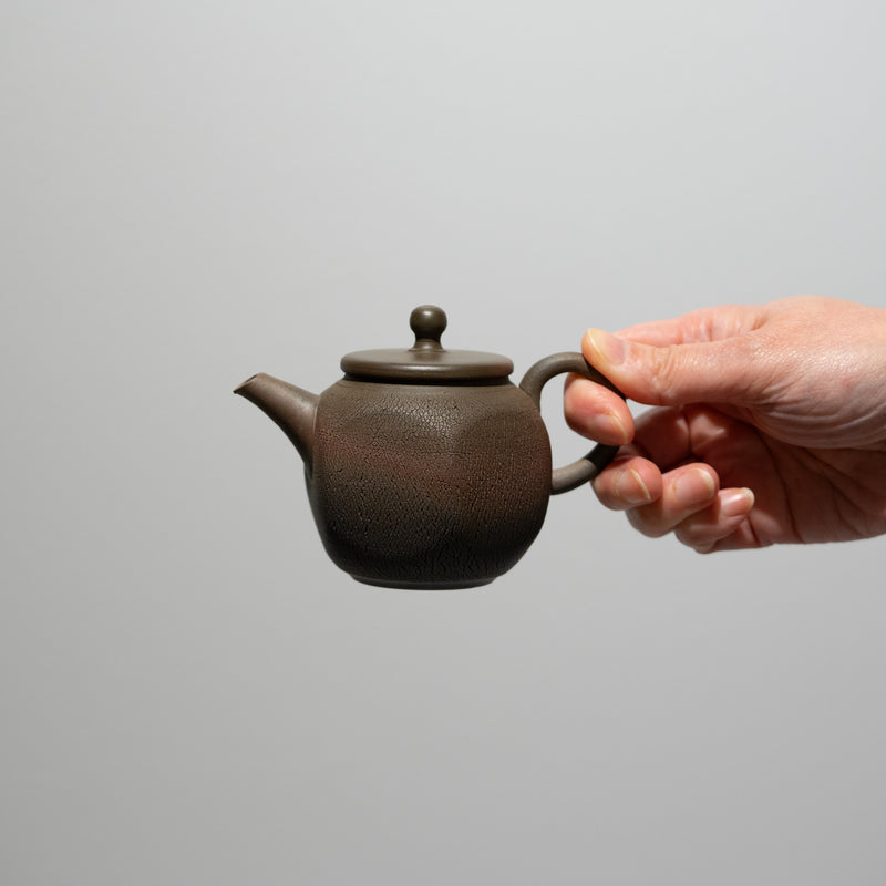 <tc>Seiji Ito / Arashi-Shibori Teapot (Yohen)</tc>