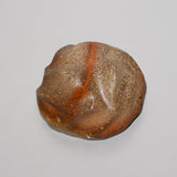 <tc>Taiga Mori / Notari-Notari Sake Cup</tc>