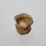 <tc>Taiga Mori / Toge-Toge Sake Cup</tc>