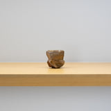 <tc>Taiga Mori / Toge-Toge Sake Cup</tc>