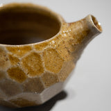 <tc>Taiga Mori / Kari-Kori Sake Server</tc>