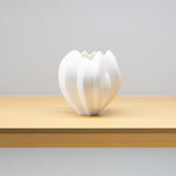 <tc>Nami Takahashi / Fruit</tc>