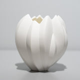 <tc>Nami Takahashi / Fruit</tc>