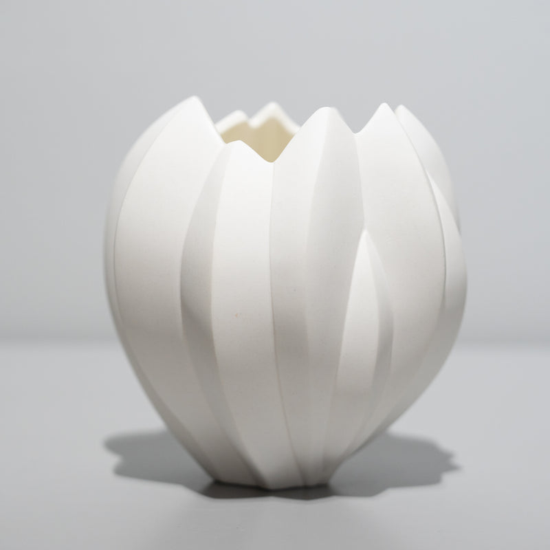 <tc>Nami Takahashi / Fruit</tc>
