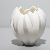 <tc>Nami Takahashi / Fruit</tc>