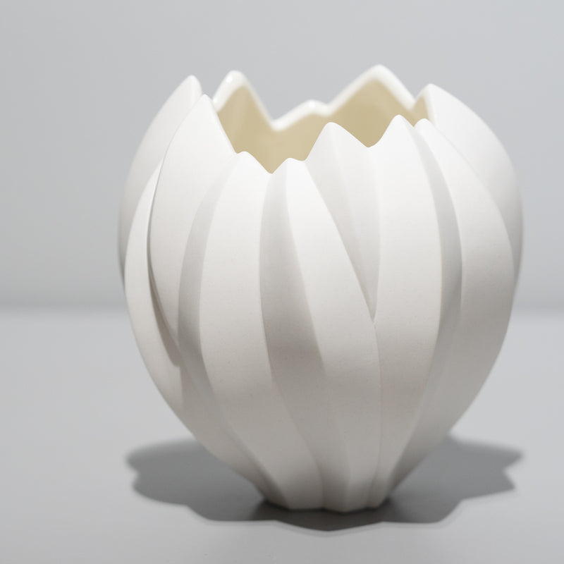 <tc>Nami Takahashi / Fruit</tc>