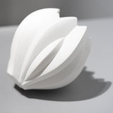 <tc>Nami Takahashi / Fruit</tc>