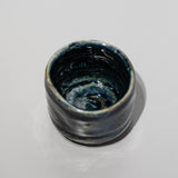 <tc>Masahiko Imanishi / Tanba Namako Yohen Sake Cup</tc>
