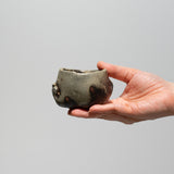 <tc>Masahiko Imanishi / Akadobe Sake Cup</tc>