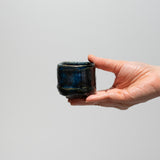 <tc>Masahiko Imanishi / Tanba Namako Yohen Sake Cup</tc>