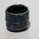 <tc>Masahiko Imanishi / Tanba Namako Yohen Sake Cup</tc>