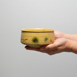 山口真人 / 黄瀬戸茶碗（一点物）