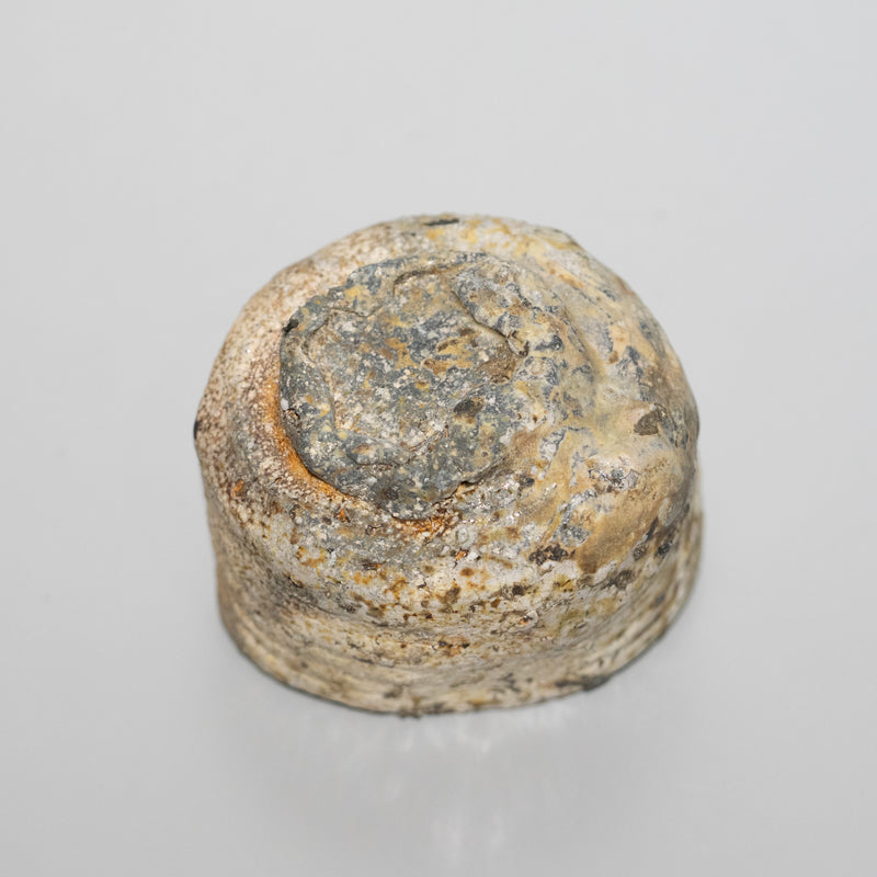 <tc>Takashi Tanimoto / Iga Sake Cup</tc>