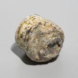 <tc>Takashi Tanimoto / Iga Sake Cup</tc>