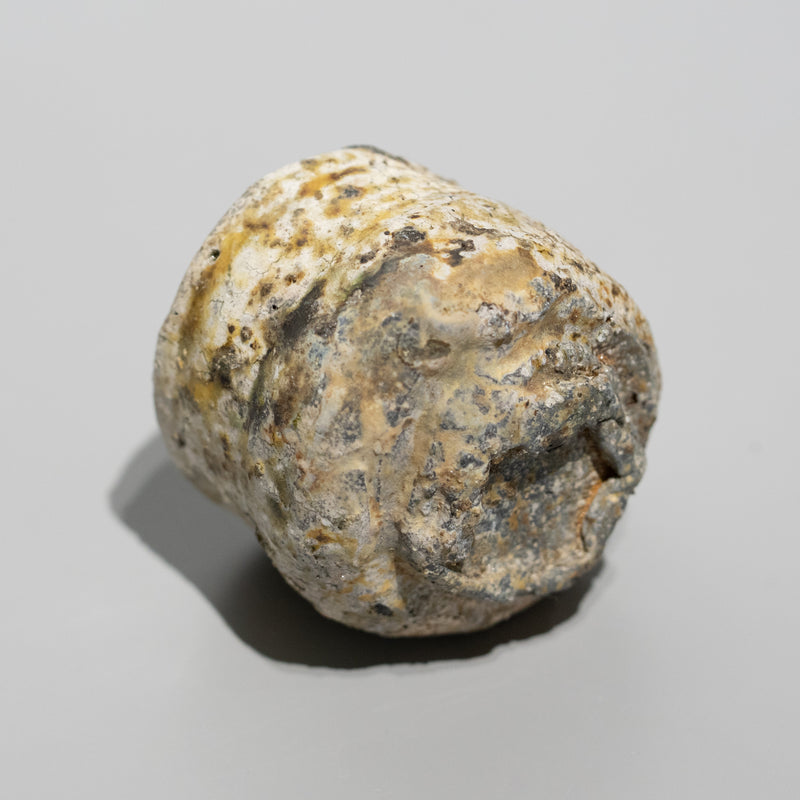 <tc>Takashi Tanimoto / Iga Sake Cup</tc>