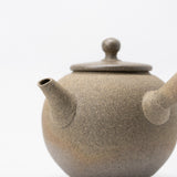 <tc>Seiji Ito / White Clay 150cc Tea Pot</tc>